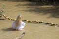 Baptism Site Qasr el Yahud. Israel