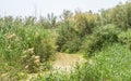 Baptismal site on Jordan River in Qasr el Yahud, Israel Royalty Free Stock Photo