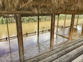 The baptismal site Qasr al yahud in the Jordan river