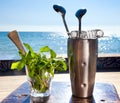 Bar accessories with inox shaker Royalty Free Stock Photo