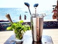 Bar accessories with inox shaker