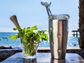 Bar accessories with inox shaker Royalty Free Stock Photo