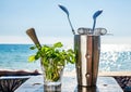 Bar accessories with inox shaker Royalty Free Stock Photo