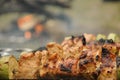 Bar-B-Q or BBQ with kebab cooking. coal grill of chicken meat skewers with mushroom and peppers. Royalty Free Stock Photo