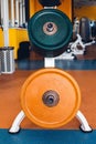 Bar-bells in the gym Royalty Free Stock Photo