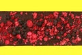 Bar of black chocolate with pieces of red raspberries isolated on yellow Royalty Free Stock Photo