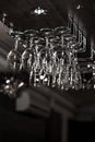 Bar glasses hanging on the rack Royalty Free Stock Photo