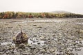 Bar Island in Bar Harbor, Maine