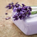 Bar of lavender spa soap Royalty Free Stock Photo