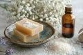 Soap Bar on Plate Next to Soap Bottle