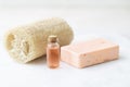 Fruit Extract Soap and Sponge Royalty Free Stock Photo