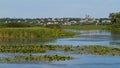 Island on river Riv, water lily leaves rich green vegetation on surface, town suburbs in background