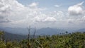 El Yunque National Forest near Baracoa in the Guantanamo province, Cuba Royalty Free Stock Photo