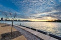 Barangaroo reserve in Sydney Royalty Free Stock Photo