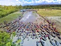 Barapan Kebo - traditional bull race in Sumbawa Royalty Free Stock Photo