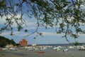 Baratti gulf Royalty Free Stock Photo