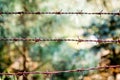Barb wire close up Royalty Free Stock Photo