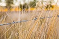 Barb Wire Country Fence Royalty Free Stock Photo