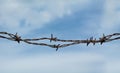 Barb wire detail closeup