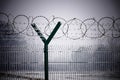 Barb wire fence at the cold winter day Royalty Free Stock Photo