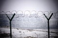 Barb wire fence at the cold winter day Royalty Free Stock Photo