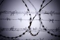 Barb wire fence at the cold winter day Royalty Free Stock Photo