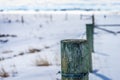 A barb wire fence in a snow covered field Royalty Free Stock Photo