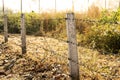 Barb wire fencing