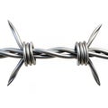 Barb Wire isolated on white background Royalty Free Stock Photo