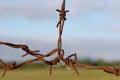 Barb wire Royalty Free Stock Photo