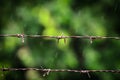 Barb Wire in Rainy Day With Green Background Royalty Free Stock Photo