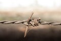 Barb wire Royalty Free Stock Photo