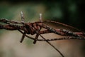 Barb wire in the silence land Royalty Free Stock Photo