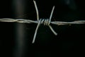Barb wire in the silence land Royalty Free Stock Photo