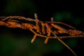 Barb wire in the silence land Royalty Free Stock Photo