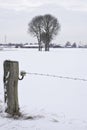 Barb wire in snow