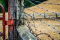 Barb wire around a fence post with the edge of a gate painted red on the left Royalty Free Stock Photo