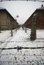 Barb wire in a WWII german prisoner camp