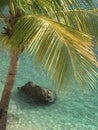 A Barbados, Caribbean island scene