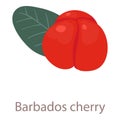 Barbados cherry icon, isometric 3d style