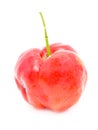 Barbados Cherry. Royalty Free Stock Photo