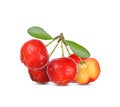 Barbados cherry, Malpighia emarginata,with drops of water isolated on white background Royalty Free Stock Photo