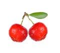 Barbados cherry, Malpighia emarginata,with drops of water isolated on white background Royalty Free Stock Photo