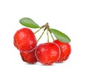 Barbados cherry, Malpighia emarginata,with drops of water isolated on white background Royalty Free Stock Photo