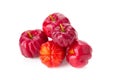 Barbados cherry (Malpighia glabra L.) Royalty Free Stock Photo