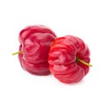 Barbados cherry (Malpighia glabra L.) Royalty Free Stock Photo