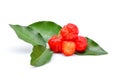 Barbados cherry,Ripe thai cherry on white background