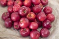 Barbados Cherry