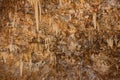 Barbados Harrison's Cave Thousands of Stalactites Royalty Free Stock Photo