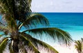 Barbados ocean view